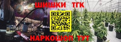дживик Гатчина