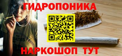 дживик Гатчина