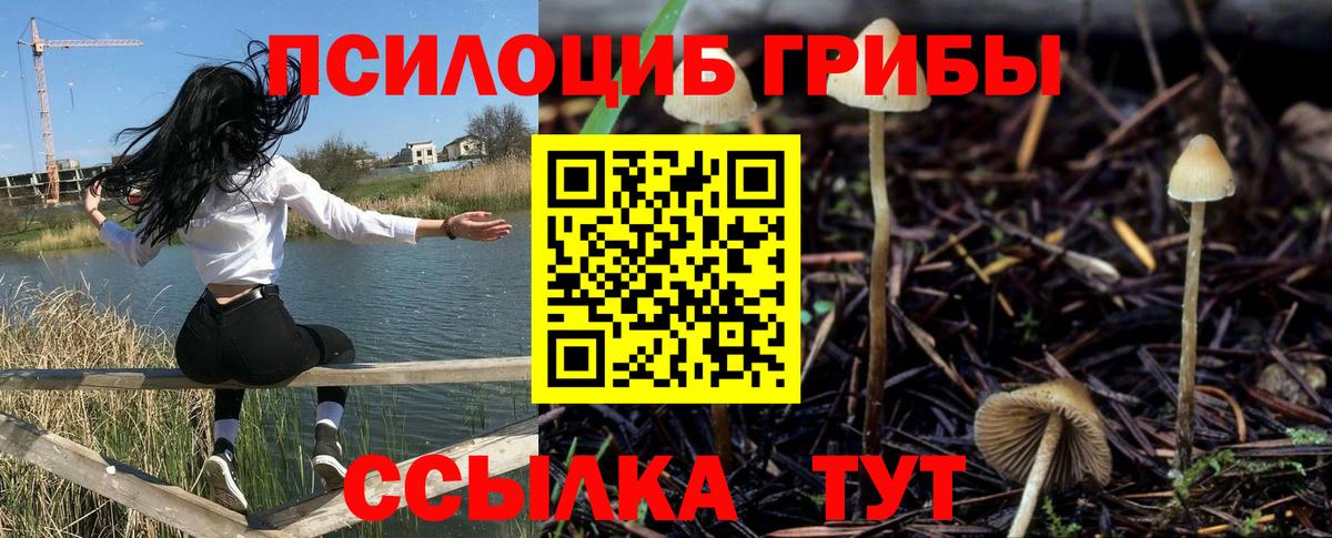 Серов  Псилоцибиновые грибы GOLDEN TEACHER  где купить наркоту  Вход с VPN 